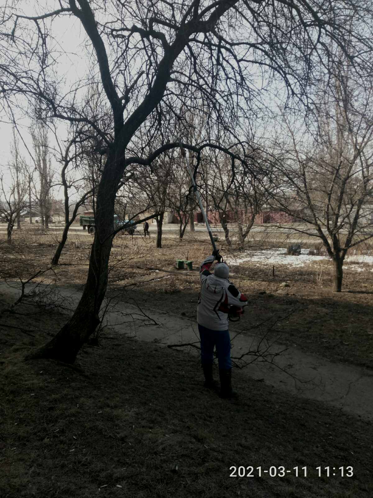 уборка, жек 7, срез сухих веток деревьев