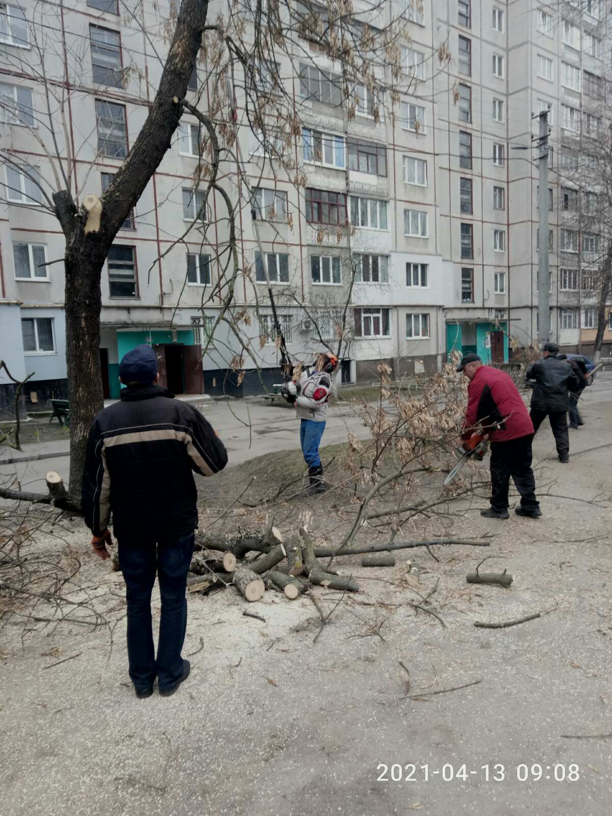 Санітарна розчистка дерев по вул.Східна