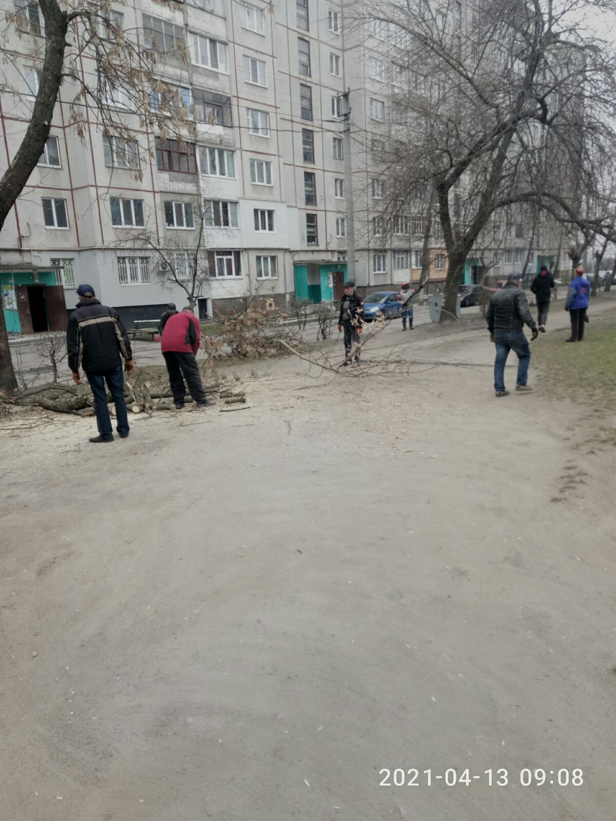 Санітарна розчистка дерев по вул.Східна