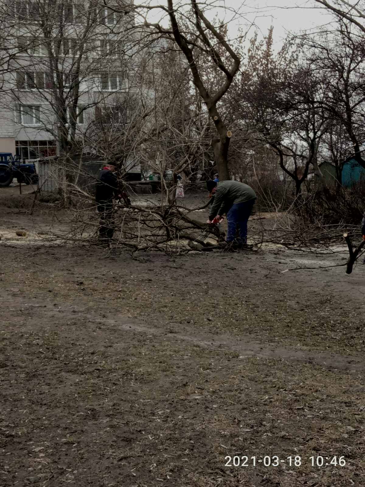 Санітарна розчистка дерев по вул. Героїв Крут